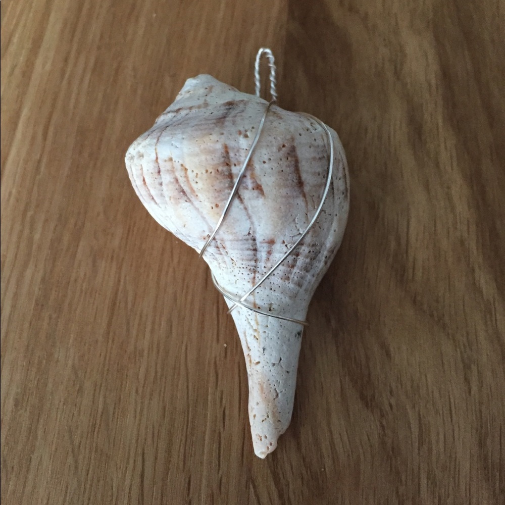 Wire Wrapped Whelk Shell Pendant